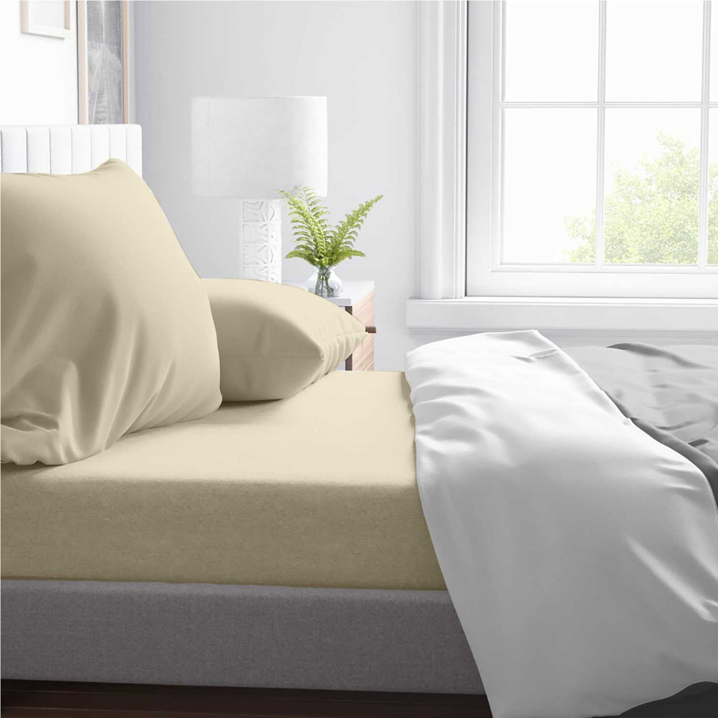 1 Piece Fitted Bed Sheet 100% Egyptian Cotton 600 Thread Count - Light Colors